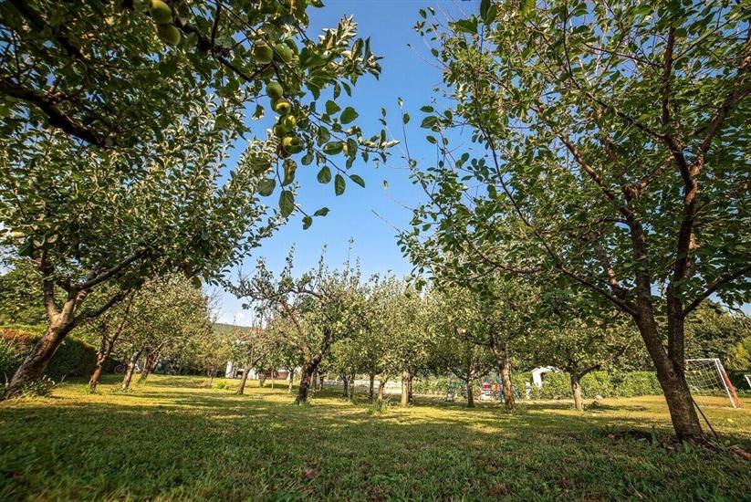 Villa Flower garden with pool