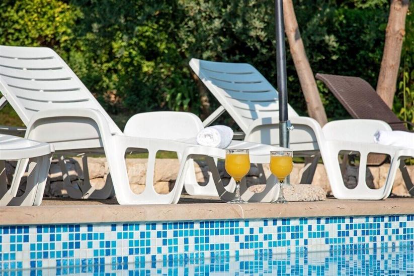 Villa Flower garden with pool