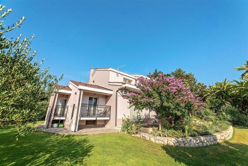 Villa Flower garden with pool