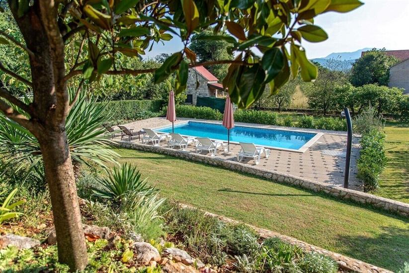 Villa Flower garden with pool