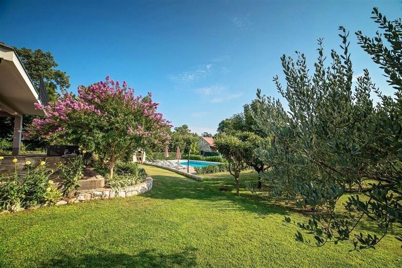 Villa Flower garden with pool