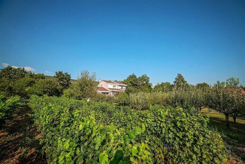 Villa Flower garden with pool