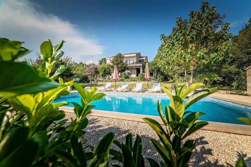 Villa Flower garden with pool