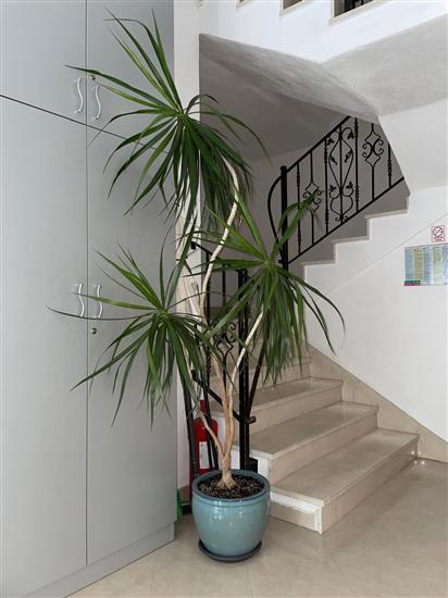 Ferienwohnungen Makarska Beach