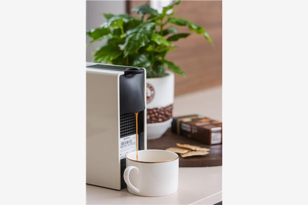 Apartment A2, for 8 persons