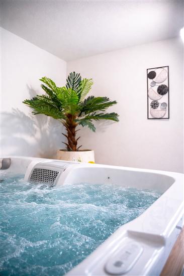 Mobile home Aria with jacuzzi