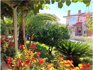 Apartment Blue Istria,BookVesnaFrom 157 €