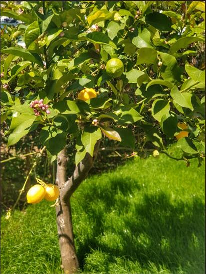 Apartment A2, for 2 persons