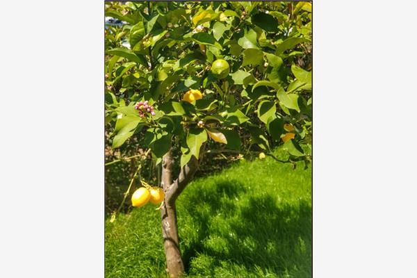 Apartment A2, for 2 persons