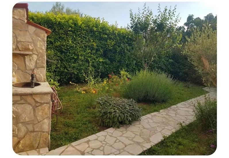 Apartmaj Niko