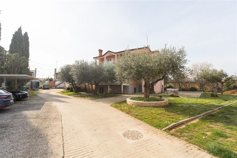 Apartment Dragica 1