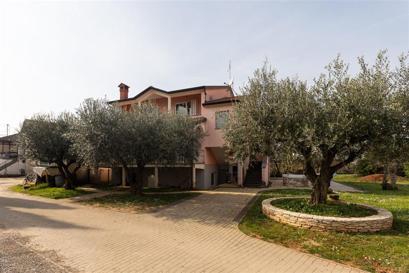 Apartment Dragica 1