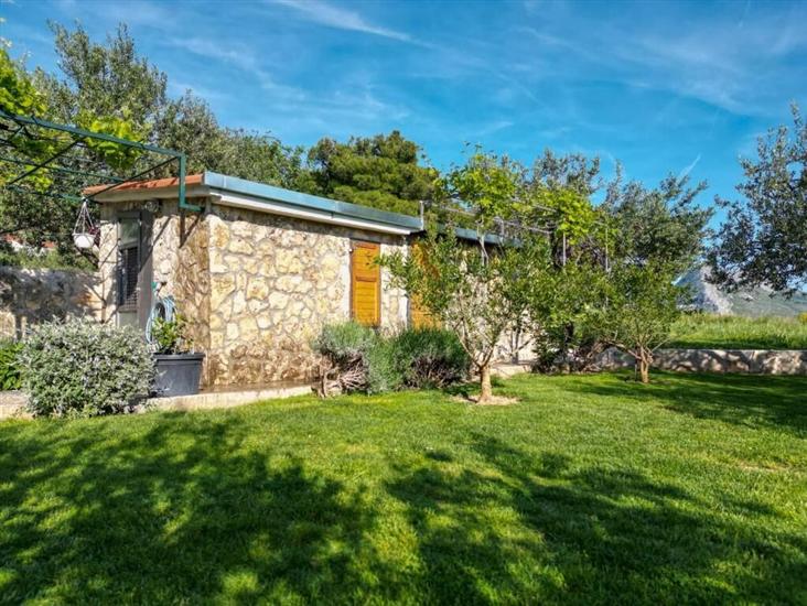 House Villa Olives Garden