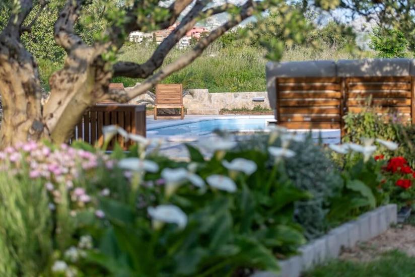 House Villa Olives Garden