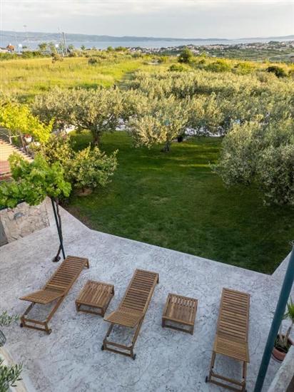 House Villa Olives Garden