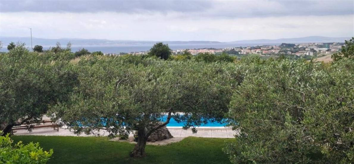 House Villa Olives Garden