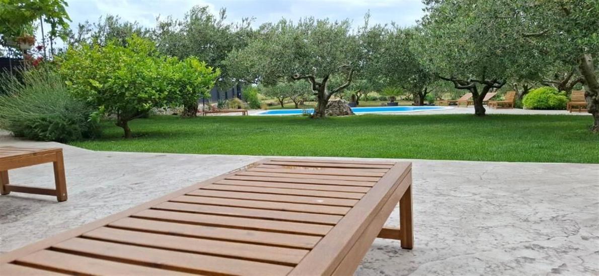 House Villa Olives Garden