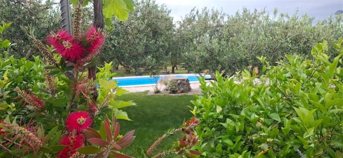 House Villa Olives Garden