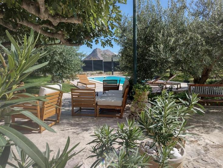 House Villa Olives Garden