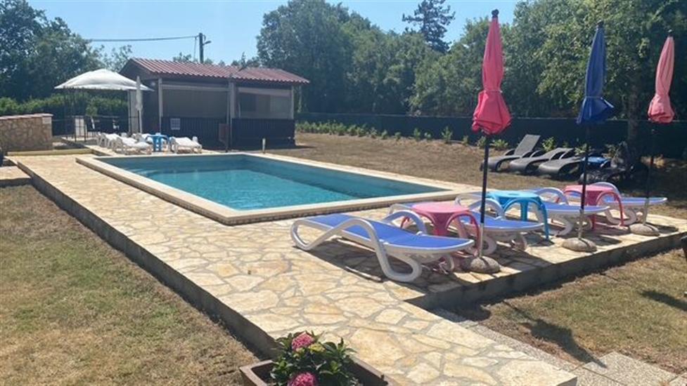 House House Lola