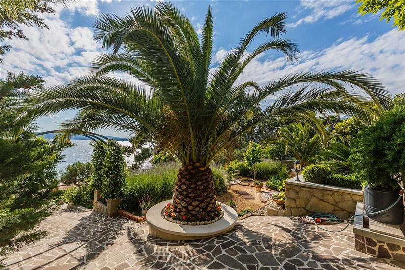 Appartementen Dream