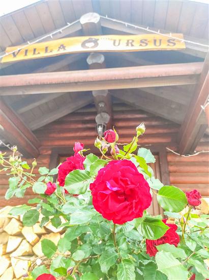 House Villa Ursus