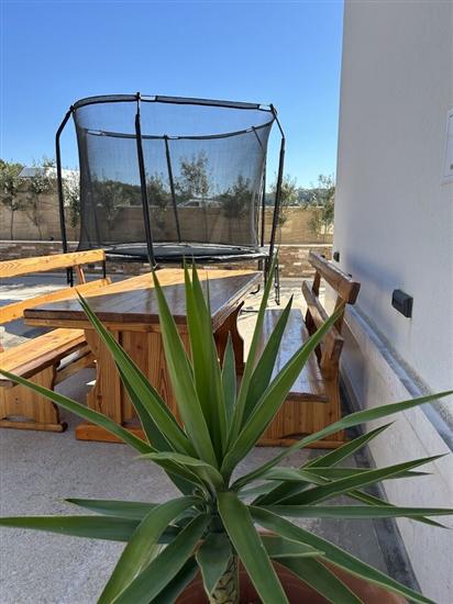 Apartment Azure Pine