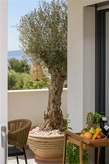 Apartment A1, for 6 persons