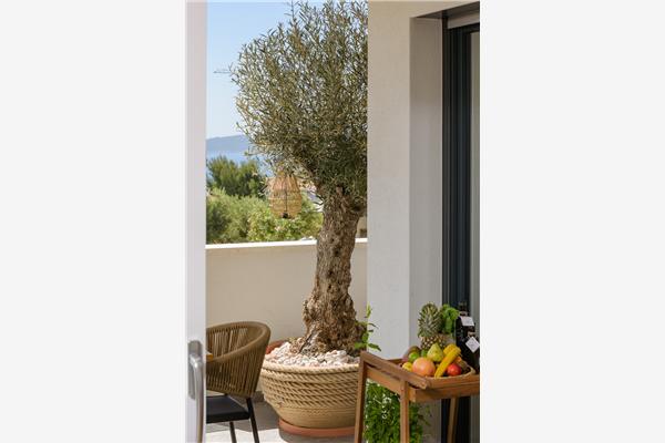 Apartment A1, for 6 persons