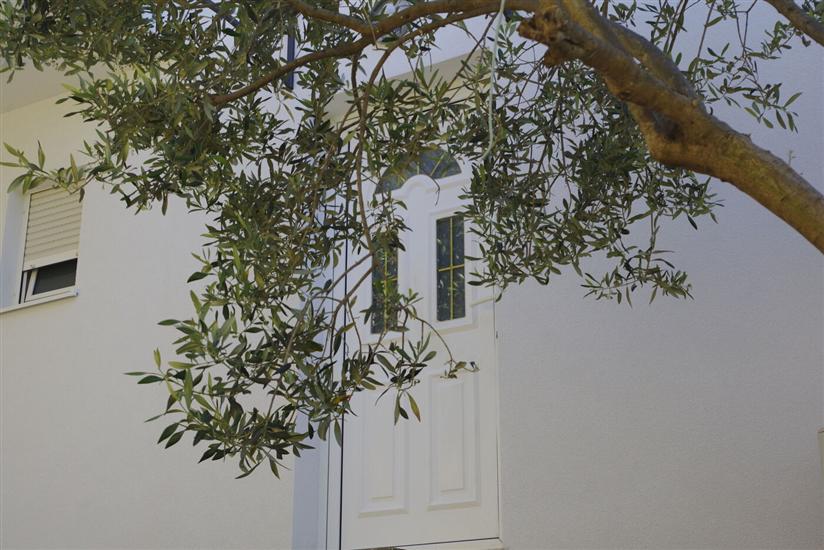 Apartments Markovic