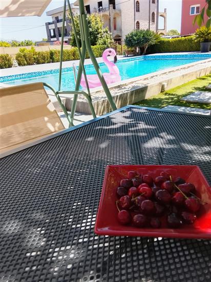 Apartment Lazy Dayz Pool