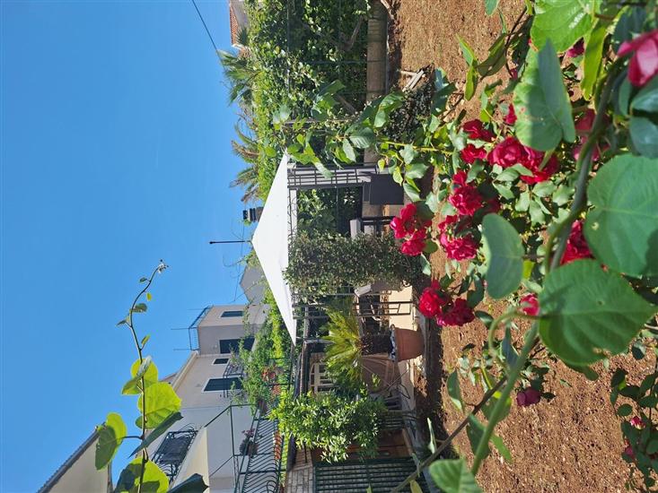 Apartment A1, for 3 persons