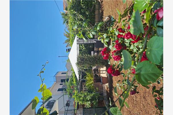 Apartment A1, for 3 persons