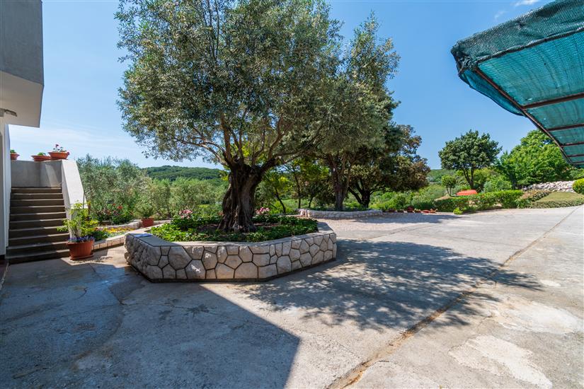 Apartments Villa Ana