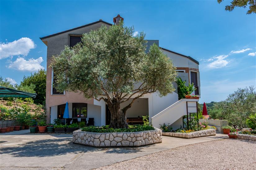 Apartments Villa Ana