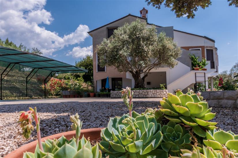 Apartments Villa Ana