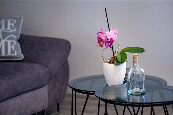 Apartment A5, for 4 persons