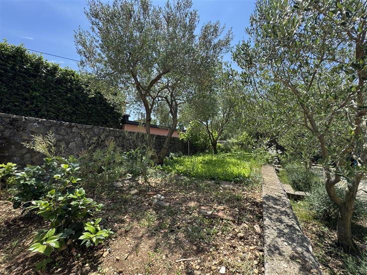 Apartament Prelec