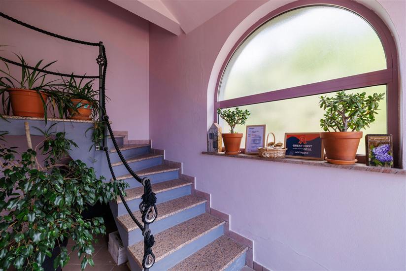 Apartmány Djusi
