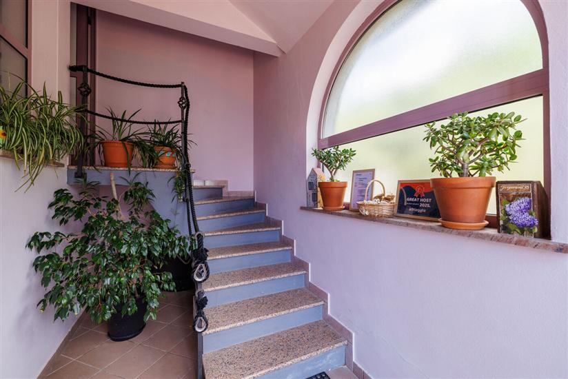 Apartmány Djusi