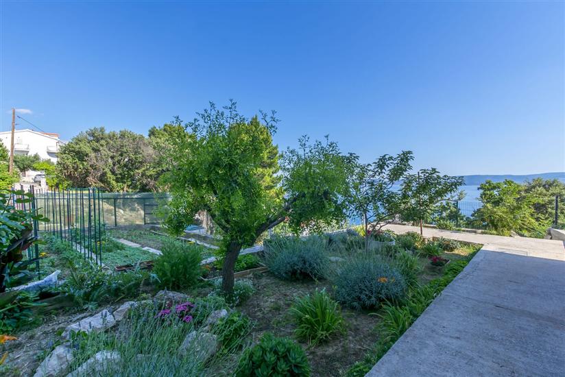 Apartament Perfect