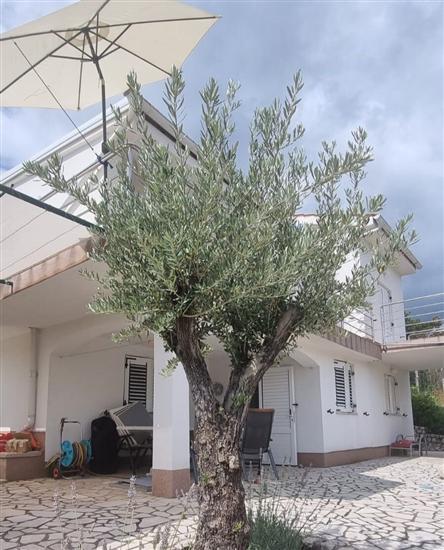 Apartman Sanjug