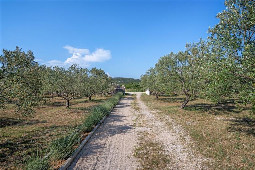 Villa Ivana Whisper of nature