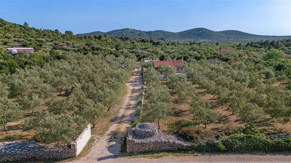 Villa Ivana Whisper of nature