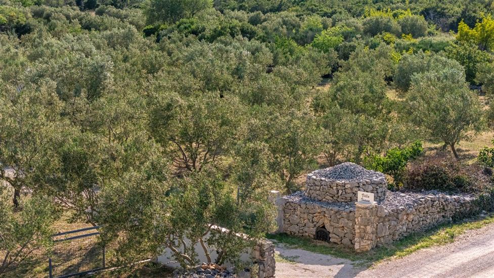 Villa Ivana Whisper of nature