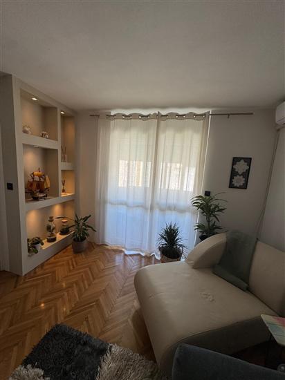 Apartment Wolfie