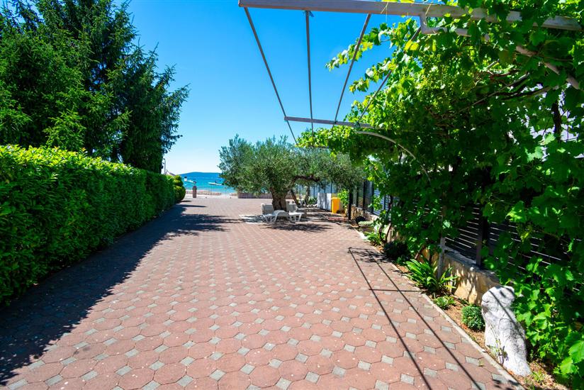 Apartmaji Bionda