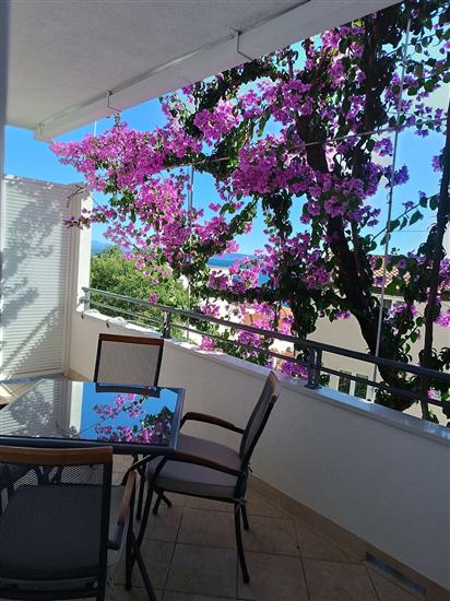 Apartment A6, for 4 persons