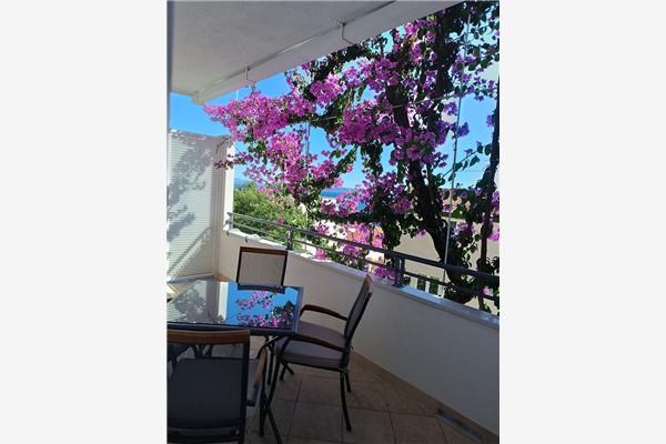 Apartment A6, for 4 persons