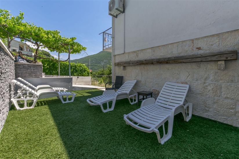 House Hidden Green Oasis
